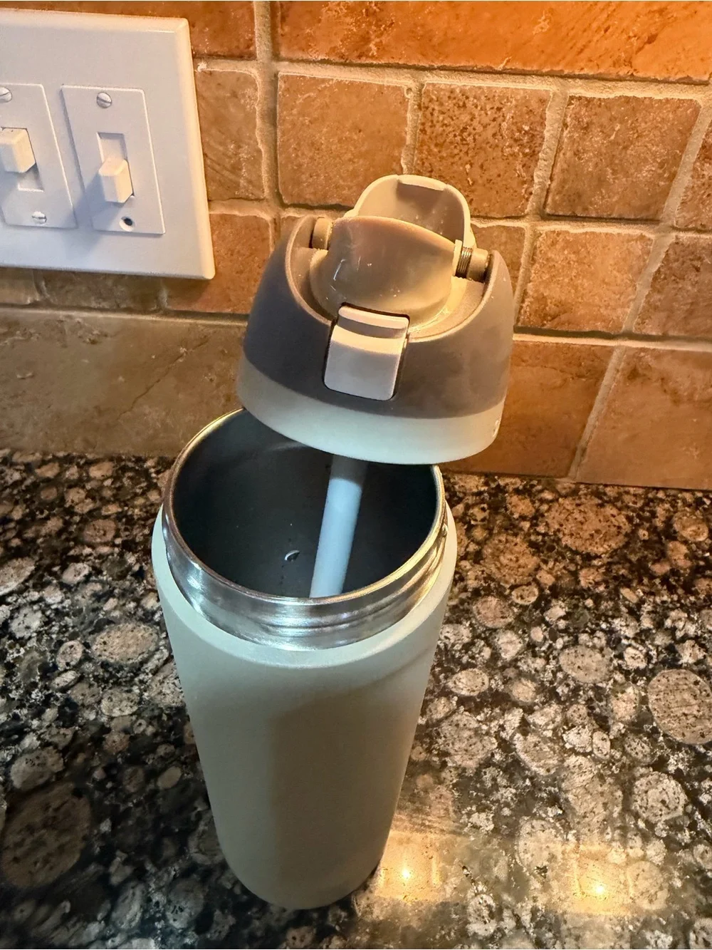Owala Sage Green Stainless Steel Water Bottle with Gray Flip Lid